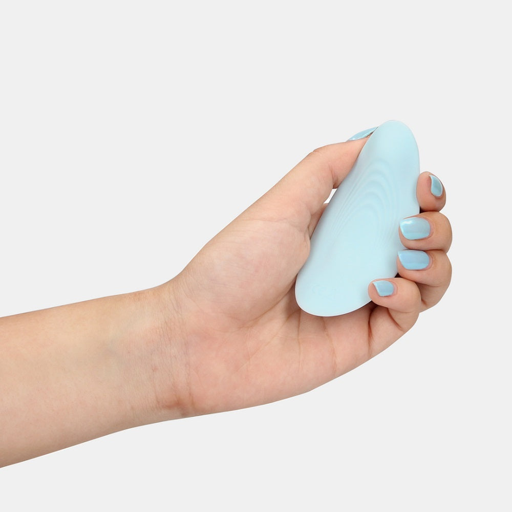 remote-control-panty-vibrator