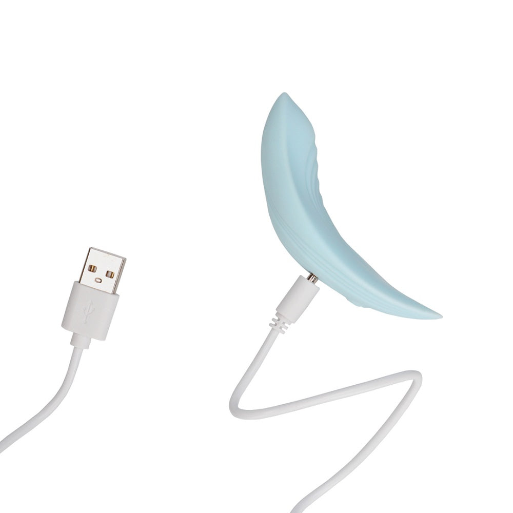 remote-control-panty-vibrator